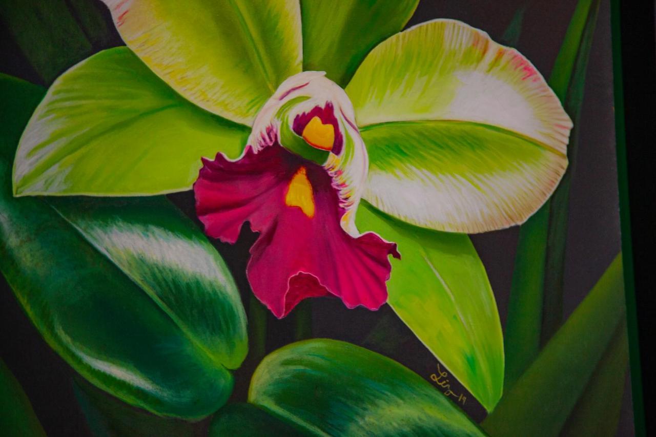 Mestizo Gallery トゥルム エクステリア 写真
